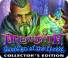 Dreampath: Guardian of the Forest Collector's Edition gra