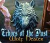 Echoes of the Past: Wolf Healer gra