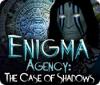 Enigma Agency: The Case of Shadows gra