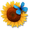 Flower Paradise game