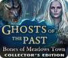 Ghosts of the Past: Bones of Meadows Town Collector's Edition gra