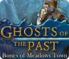 Ghosts of the Past: Bones of Meadows Town gra