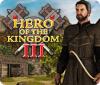 Hero of the Kingdom III gra