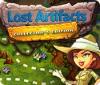 Lost Artifacts Collector's Edition gra
