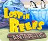 Lost in Reefs: Antarctic gra