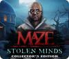 Maze: Stolen Minds Collector's Edition gra