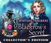 Mystery Trackers: Blackrow's Secret Collector's Edition gra