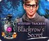 Mystery Trackers: Blackrow's Secret gra