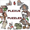 Plexus Puzzles gra