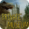 Private Museum gra