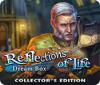 Reflections of Life: Dream Box Collector's Edition gra