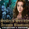 Sister's Secrecy: Arcanum Bloodlines Collector's Edition gra