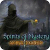 Spirits of Mystery: Amber Maiden Collector's Edition gra