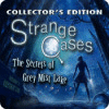 Strange Cases: The Secrets of Grey Mist Lake Collector's Edition gra