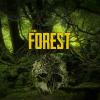 The Forest gra