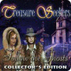 Treasure Seekers: Follow the Ghosts Collector's Edition gra