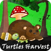 Turtles Harvest gra