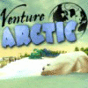 Venture Arctic gra