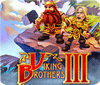 Viking Brothers 3 Collector's Edition gra
