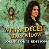 Web of Deceit: Black Widow Collector's Edition gra