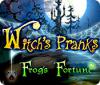 Witch's Pranks: Frog's Fortune gra