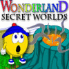 Wonderland Secret Worlds gra